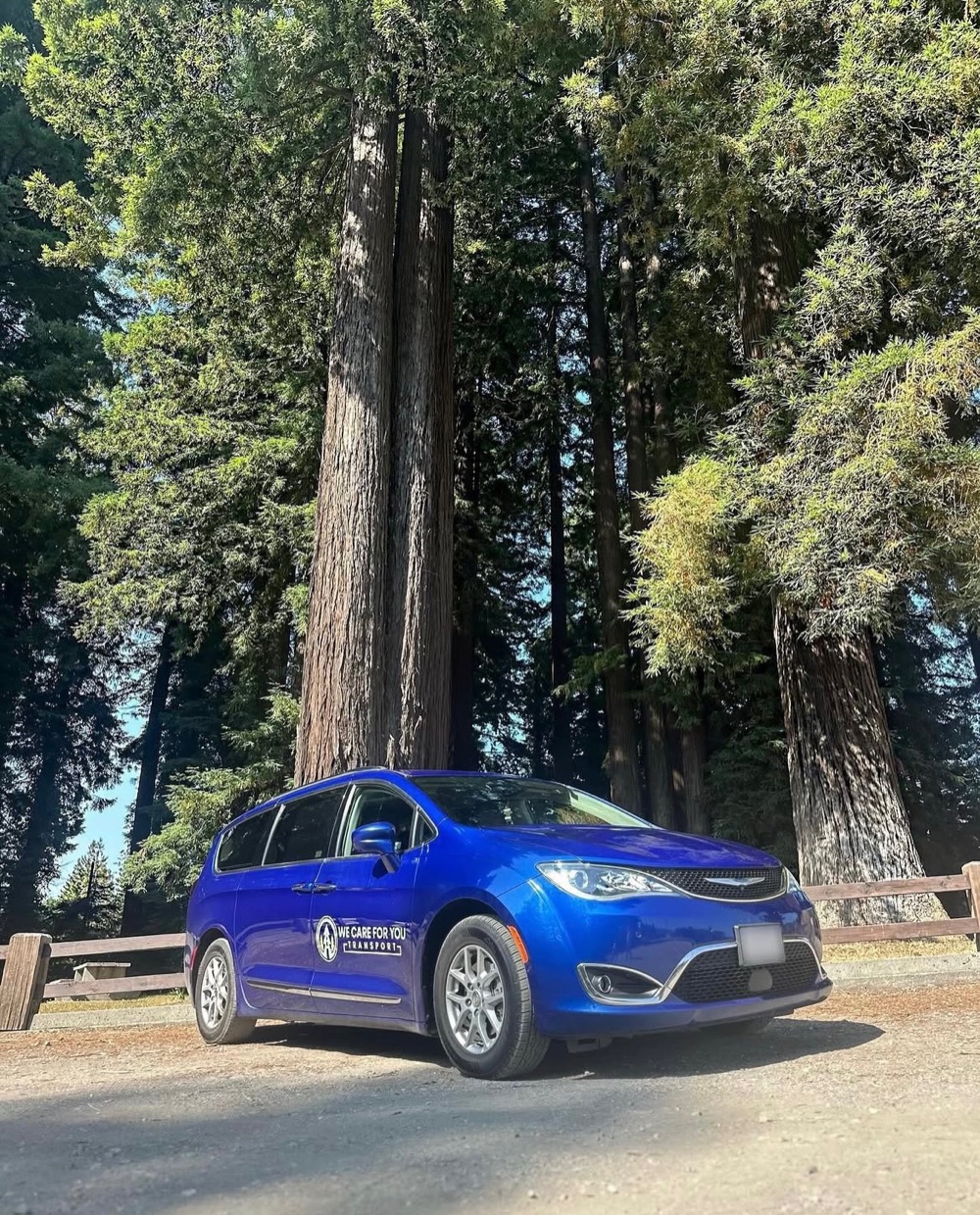 We Care For You Transport van parked among the towering redwoods of Humboldt County